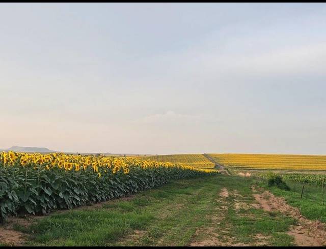 FARM FOR SALE IN BETHLEHEM RURAL